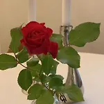 Appartement Exclusive, Cosy, Elegant Frogner In The Center Of Oslo