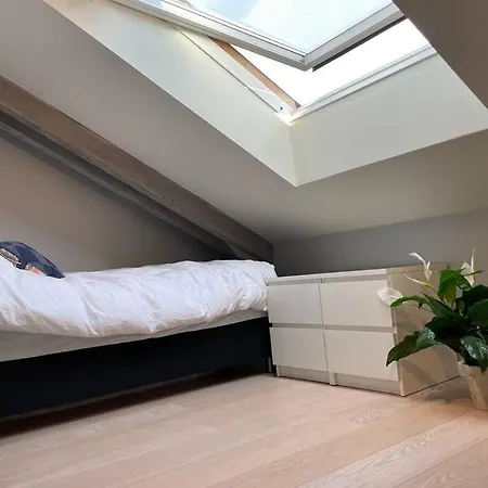 Exclusive & Elegant Frogner In The Heart Of Daire Oslo