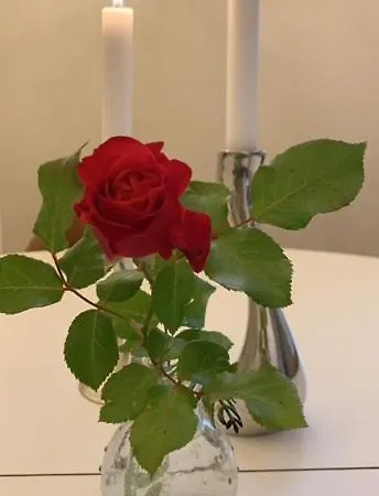 Appartamento Exclusive, Cosy, Elegant Frogner In The Center Of Oslo