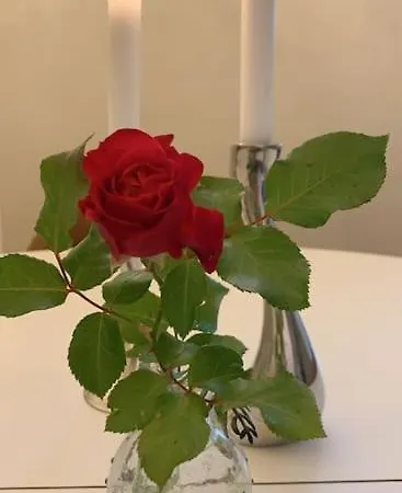 Exclusive, Cosy, Elegant Frogner In The Center Of Oslo